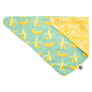 Bandana Bibs