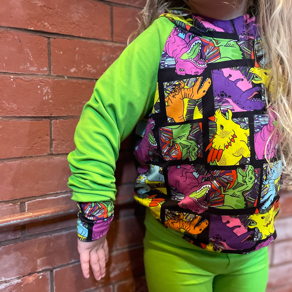 Lightweight Hoodies - Rad Raptor
