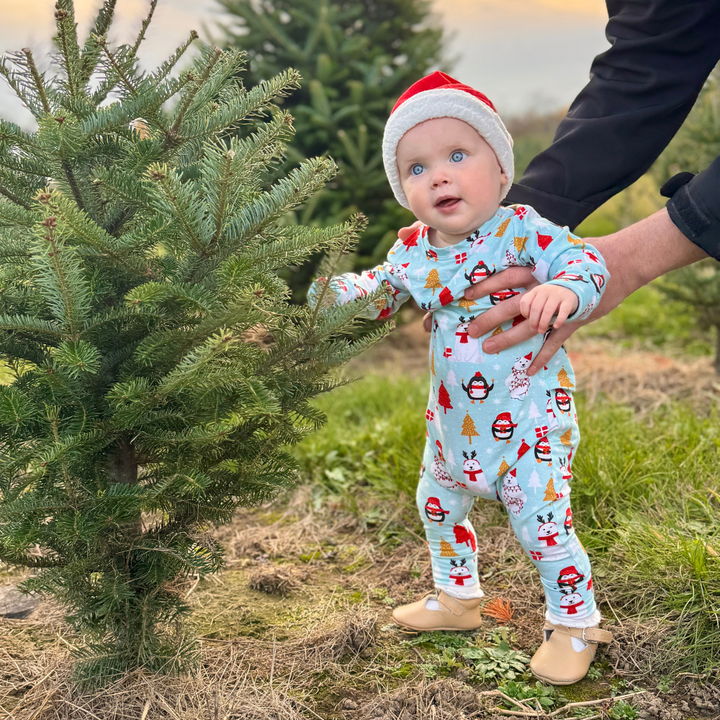 Bamboo Long Sleeve Romper in Arctic Antics