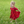 Twirl Dress - Sticky Bandit
