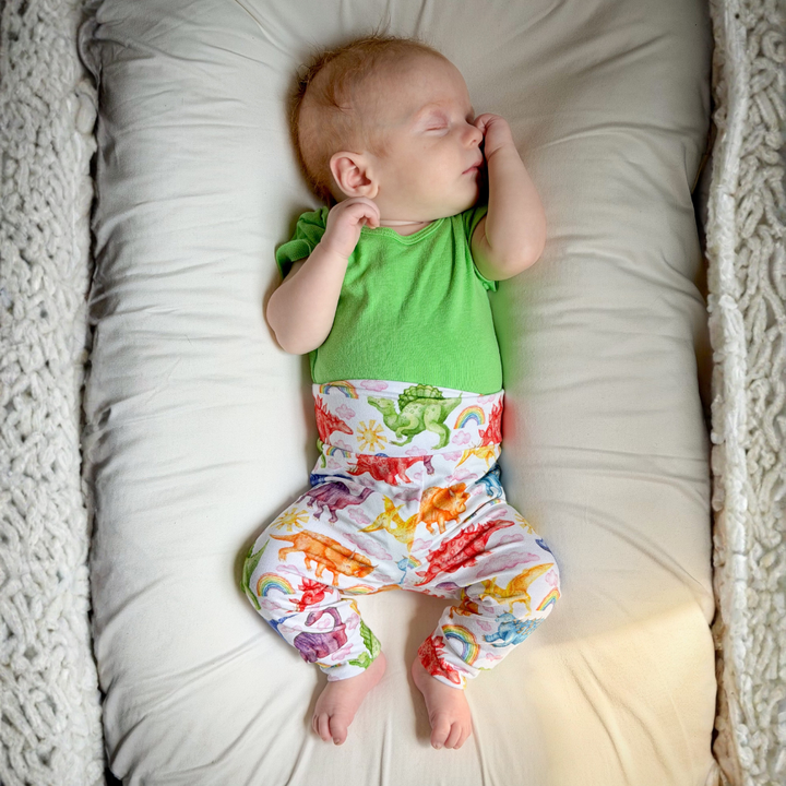 Bamboo Leggings in Jurassic Joy