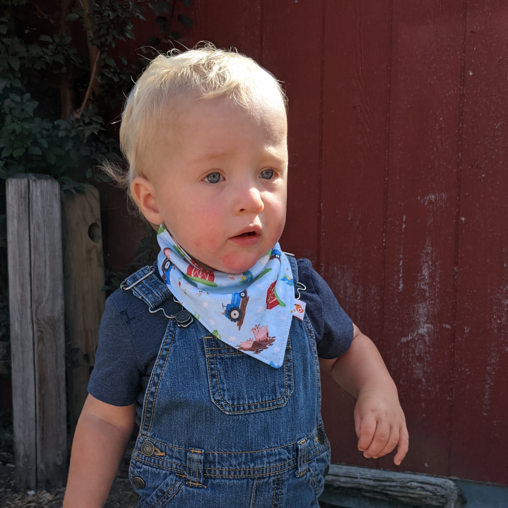 Bandana Bibs
