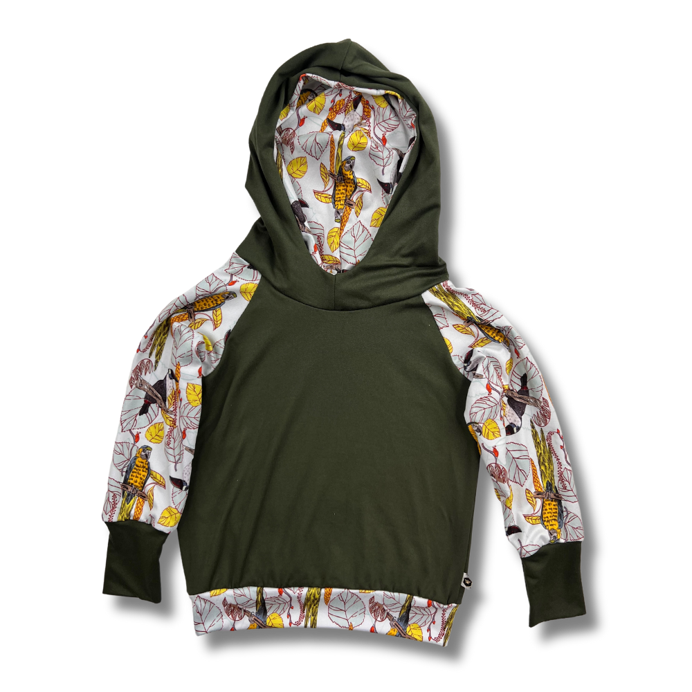 Hoodies - 2/4T (Final Sale)