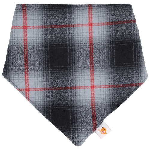 Bandana Bibs