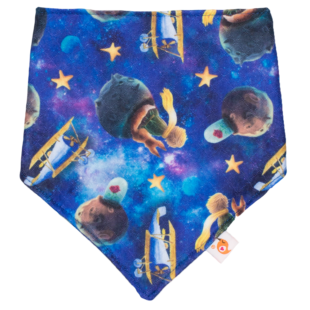 Bandana Bibs