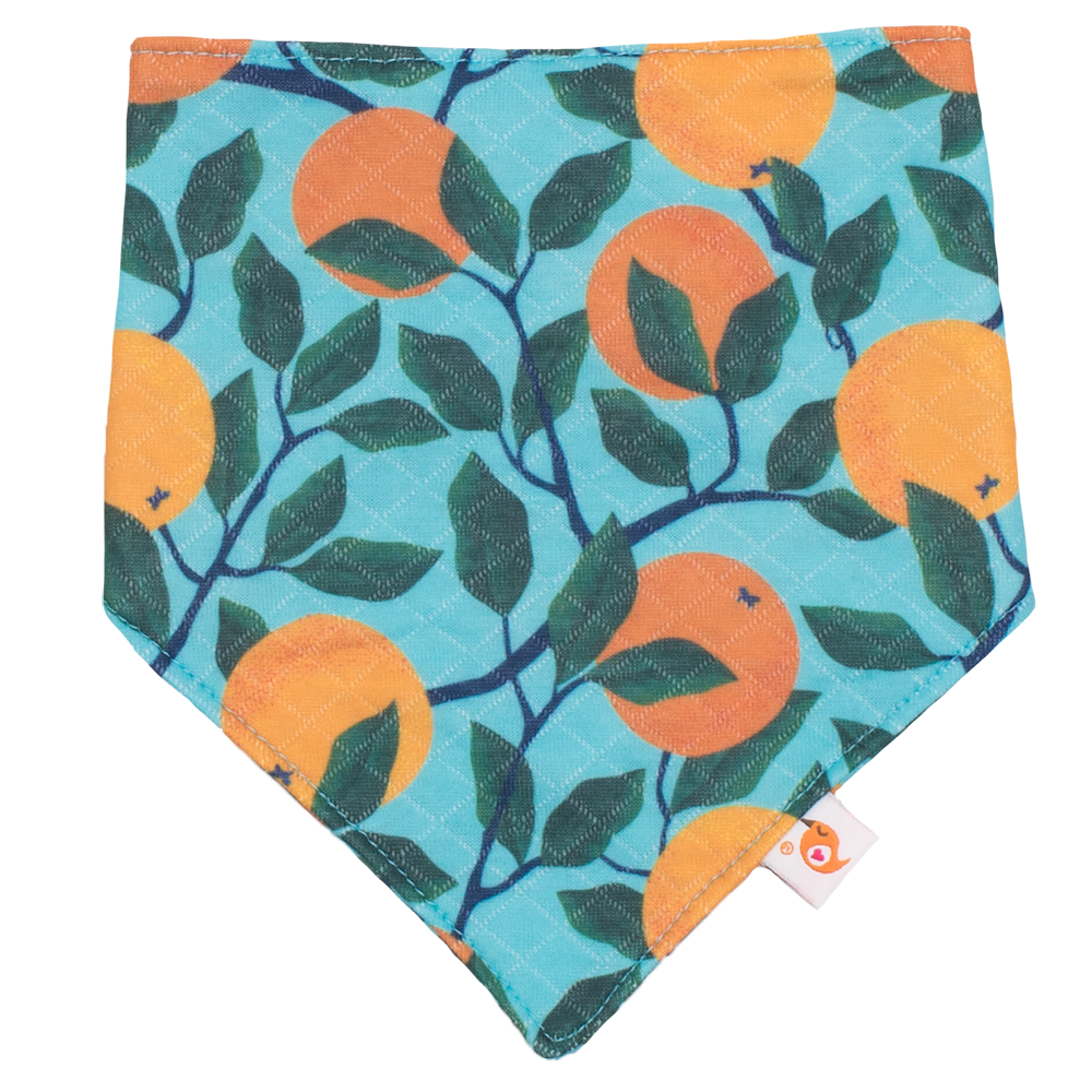 Bandana Bibs