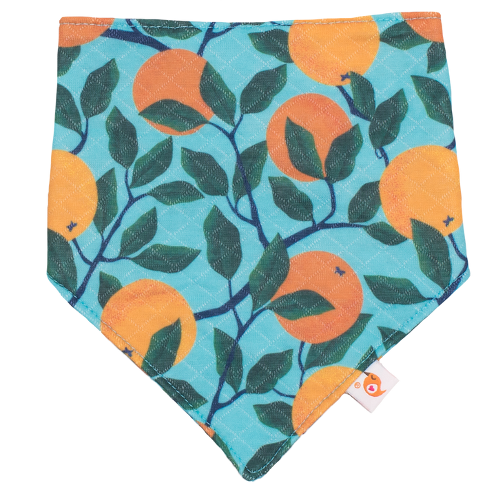 Bandana Bibs
