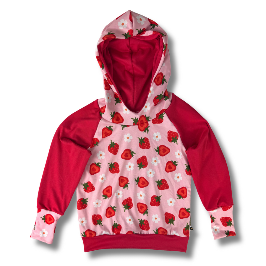 SECONDS- Hoodies 2T/4T (Final Sale)
