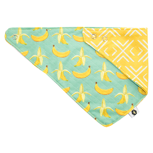 Bandana Bibs