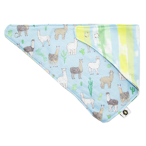 Bandana Bibs