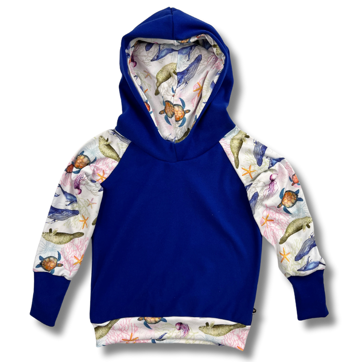 Hoodies - 2/4T (Final Sale)
