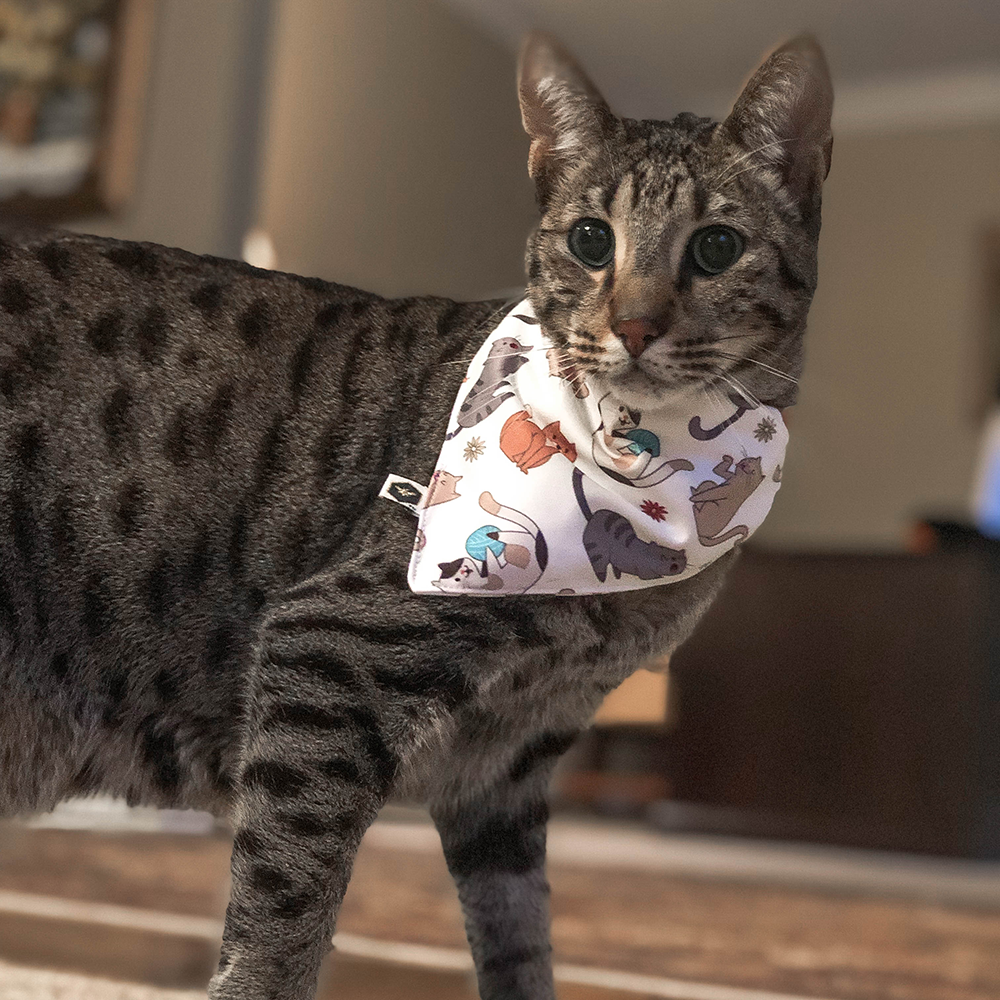 Pet Bandana Bib (Final Sale)