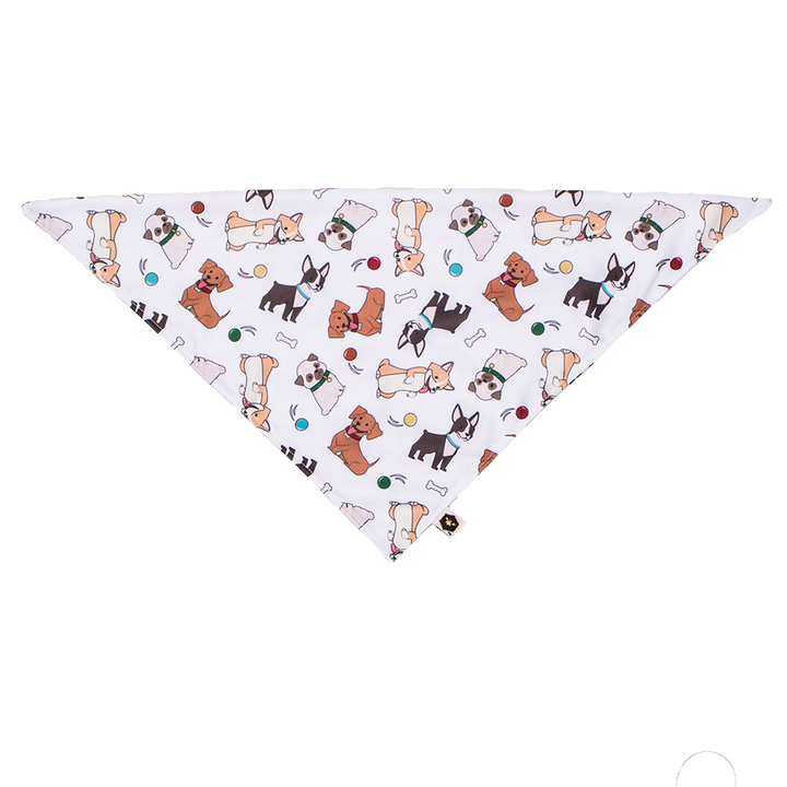 Pet Bandana Bib (Final Sale)
