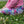 Additional Leggings - 0/6 (Final Sale)