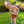 Track Short - 2/4 (Final Sale)