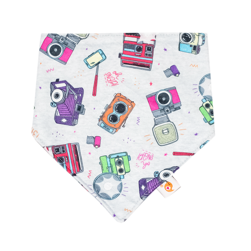 Bandana Bibs