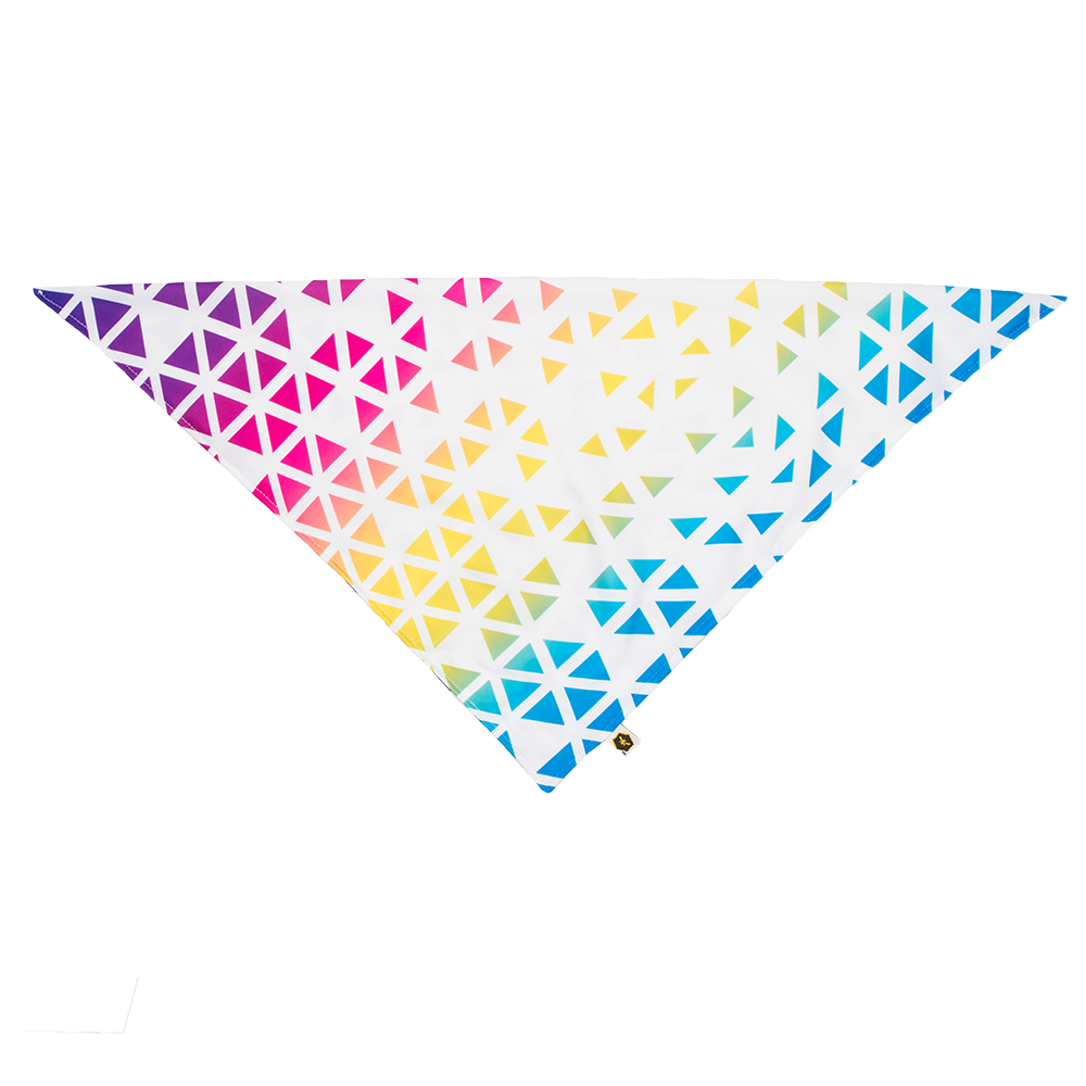 Pet Bandana Bib (Final Sale)