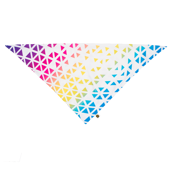 Pet Bandana Bib (Final Sale)