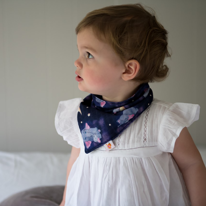 Bandana Bibs