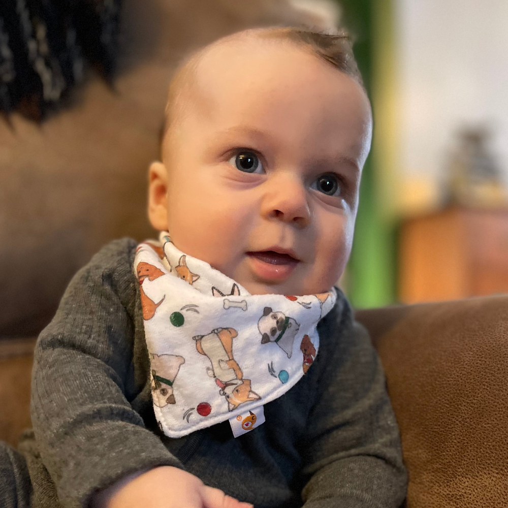 Bandana Bibs