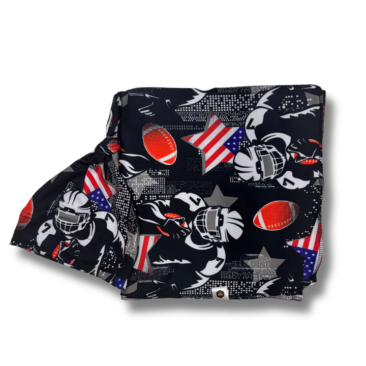Stretch Swaddle Set  - All American