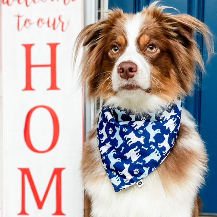 Pet Bandana Bib (Final Sale)