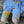Cartwheel Shorts - Up, Up And Away
