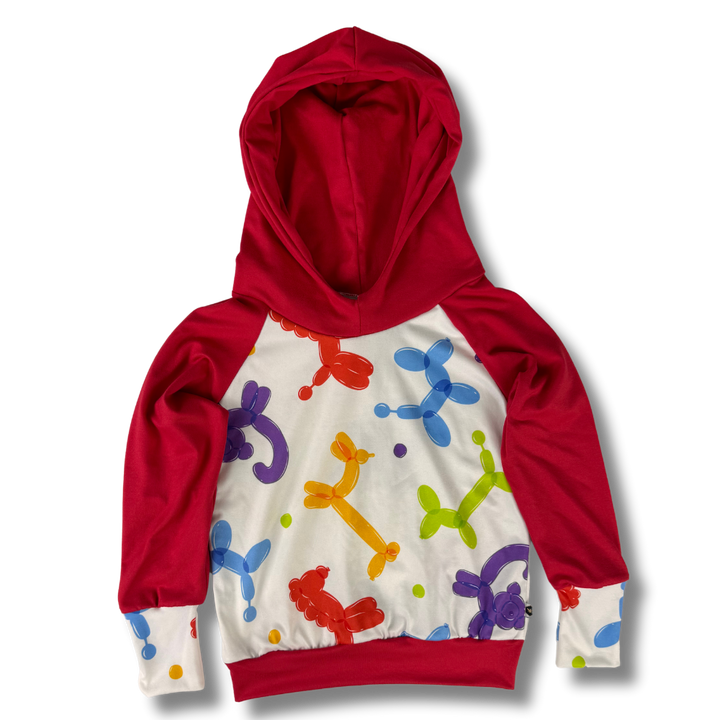 Hoodies - 2/4T (Final Sale)