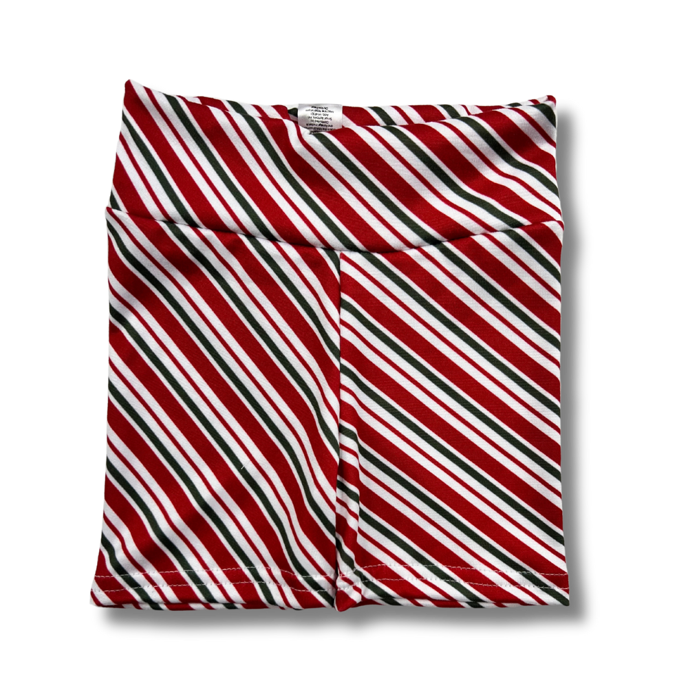 Cartwheel Shorts- 2/4T (Final Sale)