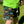 Jogger Shorts - Prehistoric