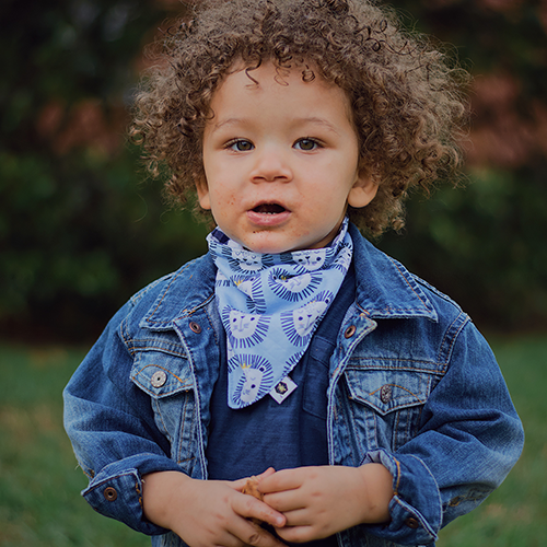 Bandana Bibs