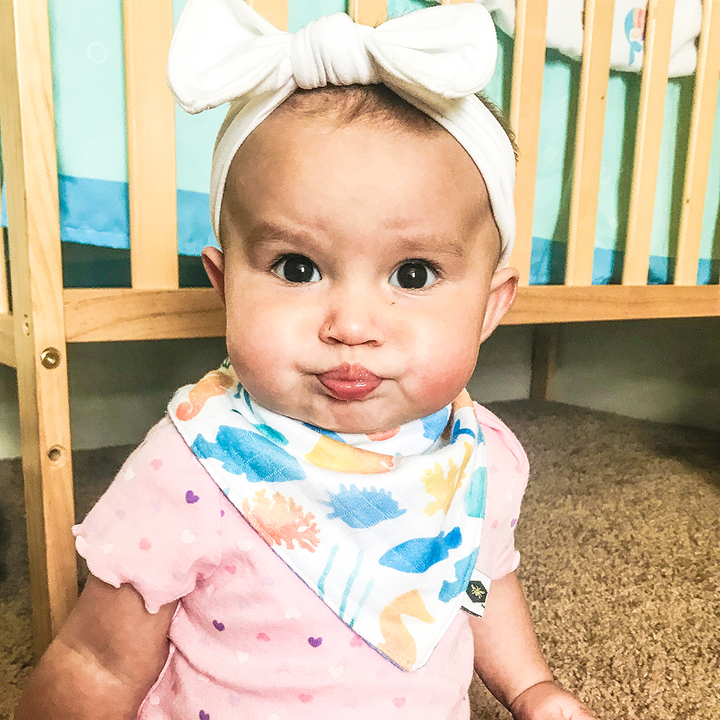 Bandana Bibs