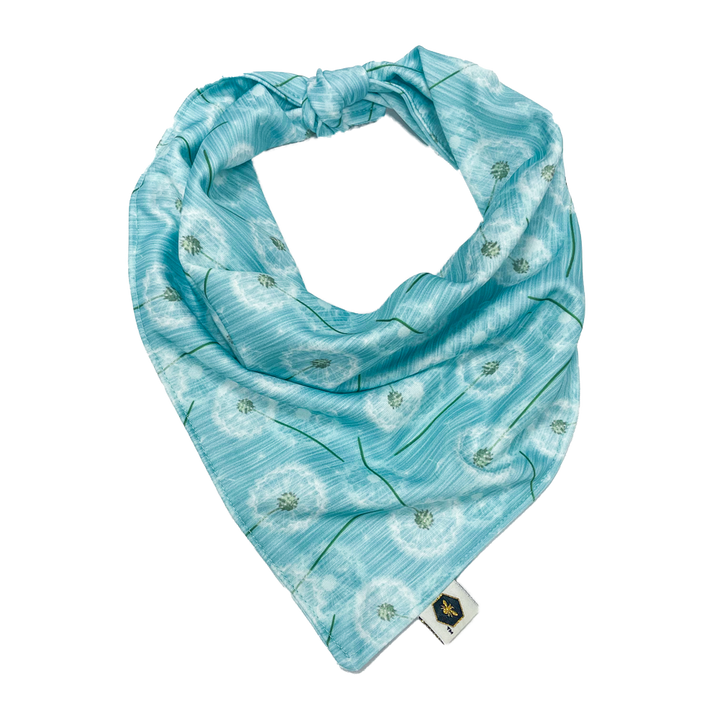 SECONDS- Pet Bandana Bibs